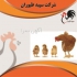 جوجه یک روزه محلی نژاددار واکسینه شده طیور در تهران جوجه یک روزه محلی