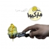 خرید بستنی عمده تولیدی مارکیوا با بهترین کیفیت و قیمت مناسب در زنجان