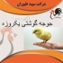 فروش مرغ گوشتی یک روزه و پرورش مرغ بومی تخم‌گذار در تهران آیا به دنبال