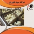 جوجه یک روزه راس ۳۰۸ جوجه گوشتی یک روزه طیور در تهران جوجه یک روزه