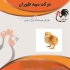 فروش جوجه گوشتی فروش عمده جوجه یک روزه طیور در تهران به دنیای فروش