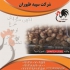 فروش جوجه مرغ لوهمن و فروش مرغ لوهمن ۵ ماهه در تهران فروش جوجه مرغ