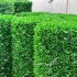 اجرای فنس چمنی و قیمت نصب گرینوال مصنوعی در اصفهان نصب فنس چمنی