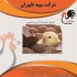 فروش جوجه گوشتی فروش عمده جوجه یک روزه طیور در تهران به دنیای فروش