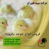 خرید جوجه فروش جوجه یک روزه طیور در تهران خرید جوجه فروش جوجه یک