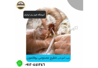 دوره آموزش تلقیح مصنوعی در بوقلمون