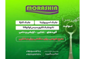 جلبک اسپیرولینا