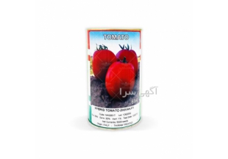 بذر ژیوان ، فروش بذر گوجه فرنگی سراسری و ارزان