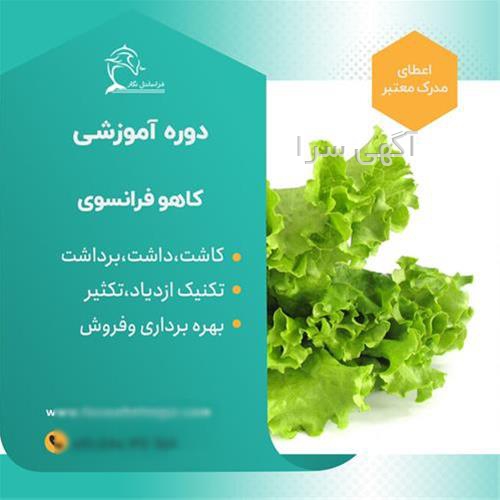 گلخانه عمودی در ایران
