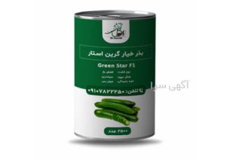 فروش عمده بذر خیار گرین استار