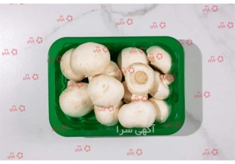 فروش عمده ظرف قارچ در انواع مدل ها و رنگ ها از 200 تا 1000 گرمی
