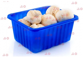 فروش عمده ظرف قارچ دکمه ای در انواع اوزان مختلف 200 تا 1000 گرمی