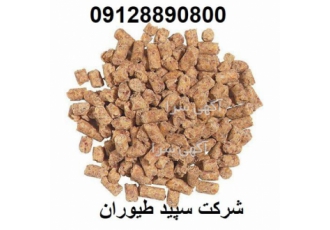 قیمت فروش خوراک دان بوقلمون گوشتی بیوتی