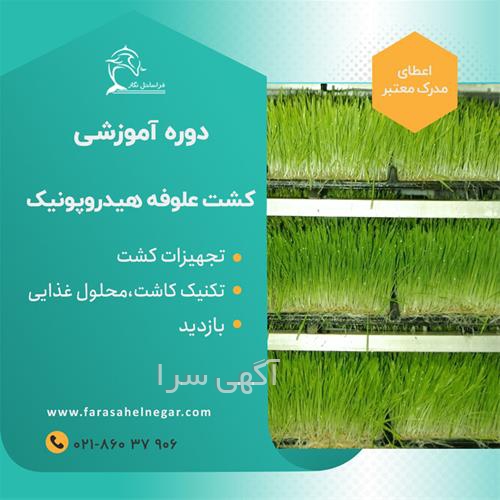 آگهی های آموزش - ساری