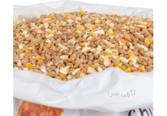 فروش کنسانتره مرغ تخم گذار و دان مخلوط در نور فروش کنسانتره مرغ تخم