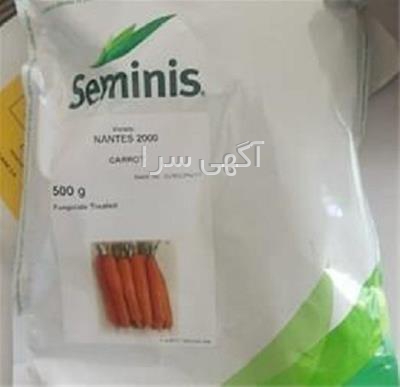 انواع بذر صیفی جات