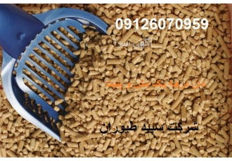 قیمت دان بوقلمون ، طیور
