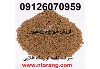 قیمت فروش دان بوقلمون ، خرید دان بوقلمون گوشتی