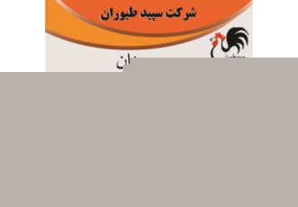 فروش دان مرغ تخم گذار