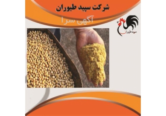 فروش دان مرغ گوشتی و تخم گذار با قیمت رقابتی