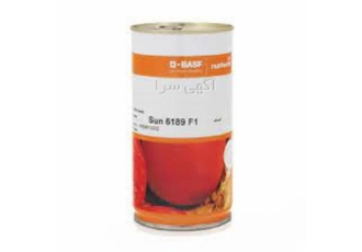 قیمت بذر گوجه سانسید ۶۱۸۹ با کیفیت در بوشهر ارائه بهترین قیمت بذر گوجه