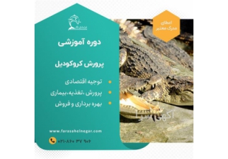 دوره آموزشی تخصصی پرورش تمساح زیر نظر کارشناس مجرب در تهران شناخت کلیات