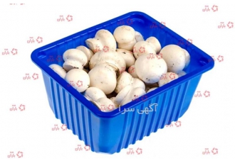 پخش عمده ظرف قارچ در مدل ۲۰۰ گرم/۴۰۰ گرم در یزد بسته بندی در عرضه
