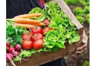 دوره های کشاورزی فنی و حرفه ای در تهران راشا افق برگزار کننده انواع