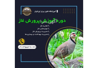دوره آموزشی پرورش غاز
