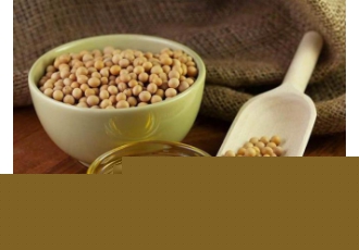 قیمت کنجاله سویا آرژانتین در تهران واحد بازرگانی این شرکت تعاملات خوبی