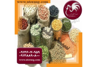 فروش انواع دان طیور ، خوراک طیور - طیور