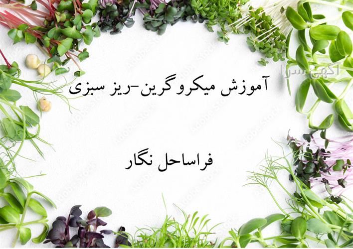 رنگ مو ریشه تیره ساقه روشن