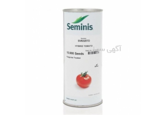 فروش بذر گوجه فرنگی 8320 با کیفیت ضمانتی و ارسال فوری