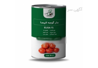 فروش عمده بذر گوجه الیسا در اصفهان بذر گوجه الیسا خرید بذر گوجه الیسا