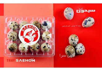 فروشنده اصلی ظروف بسته بندی ظرف تخم بلدرچین در تهران فروش شانه تخم
