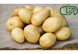 ارائه و فروش عمده سیب زمینی