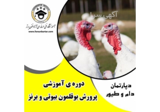 آموزش پرورش بوقلمون در اصفهان دوره آموزشی پرورش بوقلمون این دوره زیر
