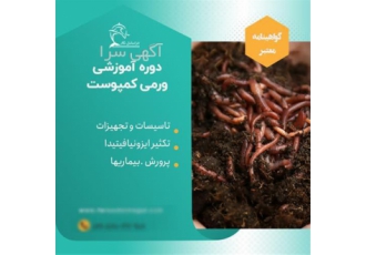 آموزش کاربردی تولید ورمی کمپوست در تهران تهیه ورمی کمپوست خانگی حتماً