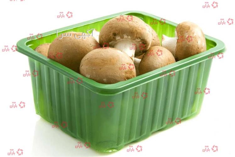 آگهی های بسته بندی - گرگان