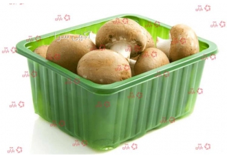 فروش عمده انواع ظرف قارچ برای بسته بندی قارچ دکمه ای در وزن های مختلف در گرگان