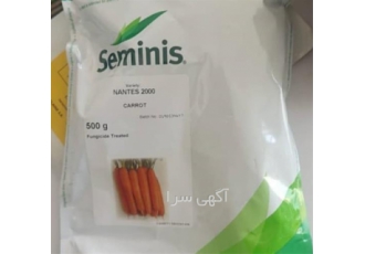 بذر هویج نانتس 2000 انتخابی برتر برای کشاورزان حرفه‌ای