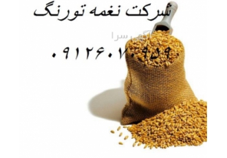 پخش و فروش دان مرغ بهترین کیفیت - طیور