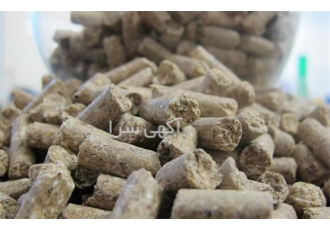 فروش دان مرغ بصورت کلی و جزئی در تهران ارائه کننده دان آماده مرغ گوشتی