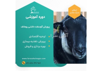 کارگاه عملی پرورش گوسفند داشتی و تولید اقتصادی در تهران شرایط سخت