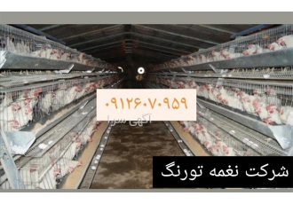 قیمت قفس مرغ تخم گذار فروش قفس مرغ طیور در تهران قیمت قفس مرغ تخم