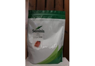 بذر هویج تاپ هاروست پر فروش در ساری دارای میوه هایی به سایر 18تا20سانتی