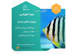 دوره آموزشی راه اندازی سایت پرورش ماهی آکواریومی در تهران سه روز کارگاه