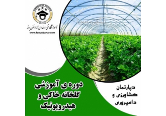آموزش گلخانه خاکی و هیدروپونیک در اصفهان کشت هیدروپونیک به پرورش گیاهان