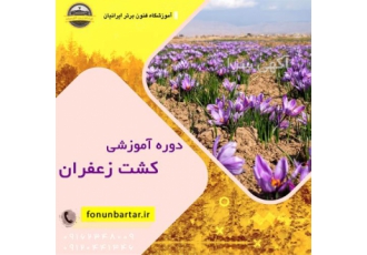 دوره آموزش کشت زعفران
