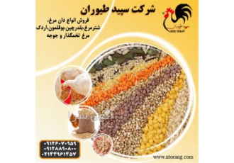 فروش و پخش انواع دان طیور و خوراک طیور - طیور